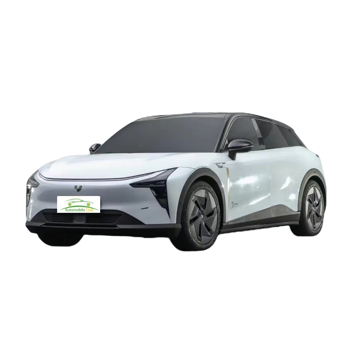 Dual Motor Four-wheel Drive 5 Door 5 Seats Electric SUV Car Pixel-J ROBO-01pure Electric 544 Horsepower Long Crusing Range 600km