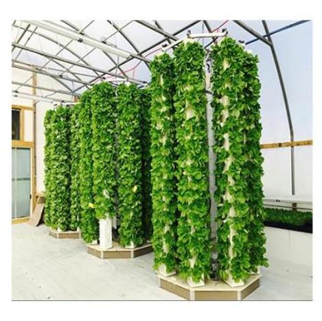 New Design Custom Horticultural Indoor Nft Hydroponic System Vertical Garden Tower Vertical Hydroponic Lettuce System