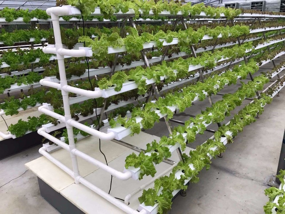 commercial hydroponics system vertical grow system smart hydroponic system for home with mobile app