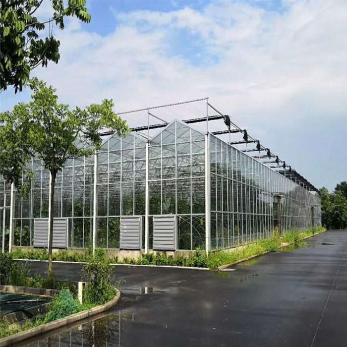 Hot Selling Hot-Dip Galvanized Structure Glass Venlo Agricultural Greenhouse For Vegetables/ flower Hydroponic Growing System