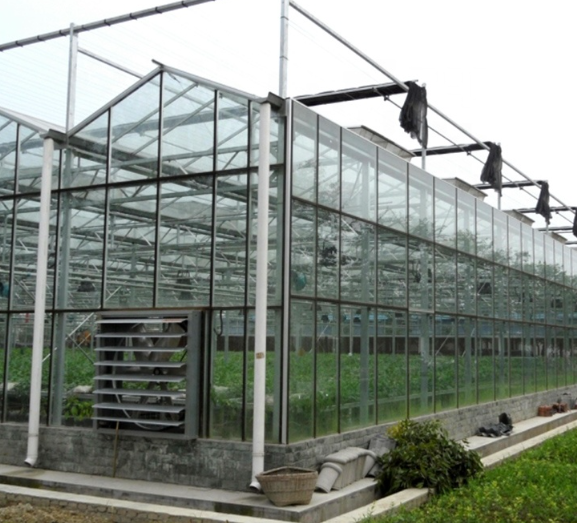 Hot Selling Hot-Dip Galvanized Structure Glass Venlo Agricultural Greenhouse For Vegetables/ flower Hydroponic Growing System