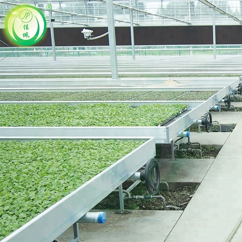 agricultural wire mesh greenhouse rolling benches suppliers used greenhouse benches for sale