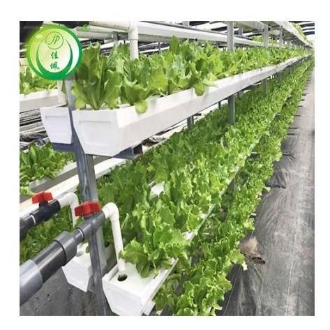 Hydroponic System Multi-span High Quality  Greenhouse for tomato