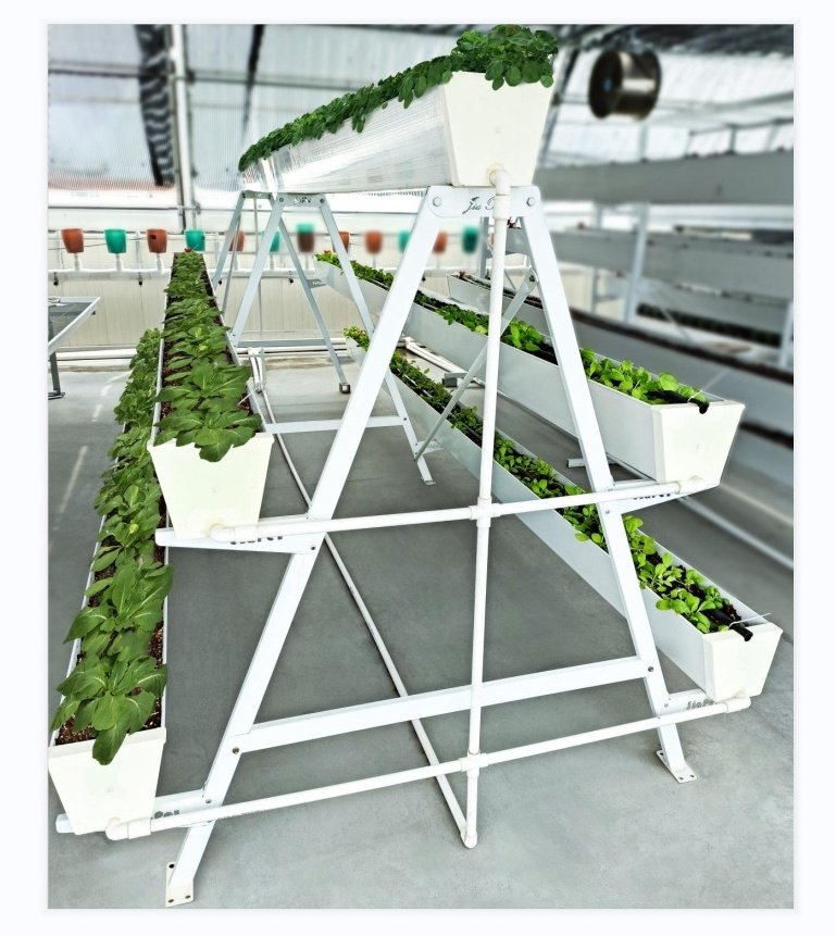 A Shape Strawberry Growing System Vertical Hydroponic Grow Gutter Channel Rack for Greenhouse Soilless Culture Substrate Shelf