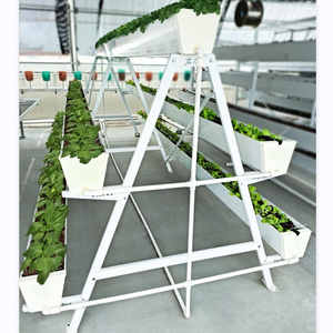 A Shape Strawberry Growing System Vertical Hydroponic Grow Gutter Channel Rack for Greenhouse Soilless Culture Substrate Shelf