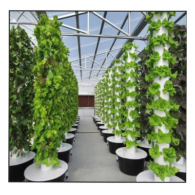 New Design Custom Horticultural Indoor Nft Hydroponic System Vertical Garden Tower Vertical Hydroponic Lettuce System