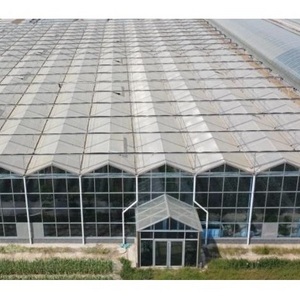 Hot Selling Hot-Dip Galvanized Structure Glass Venlo Agricultural Greenhouse For Vegetables/ flower Hydroponic Growing System