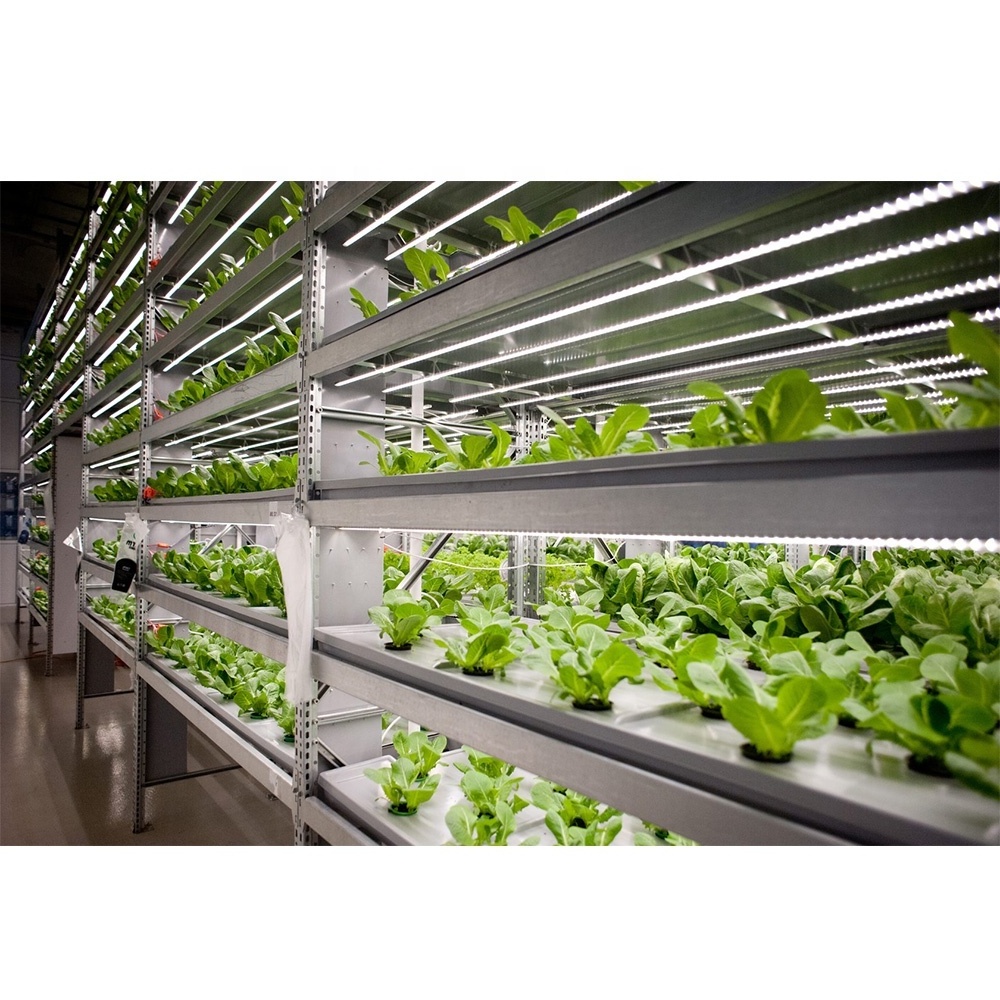 commercial hydroponics system vertical grow system smart hydroponic system for home with mobile app