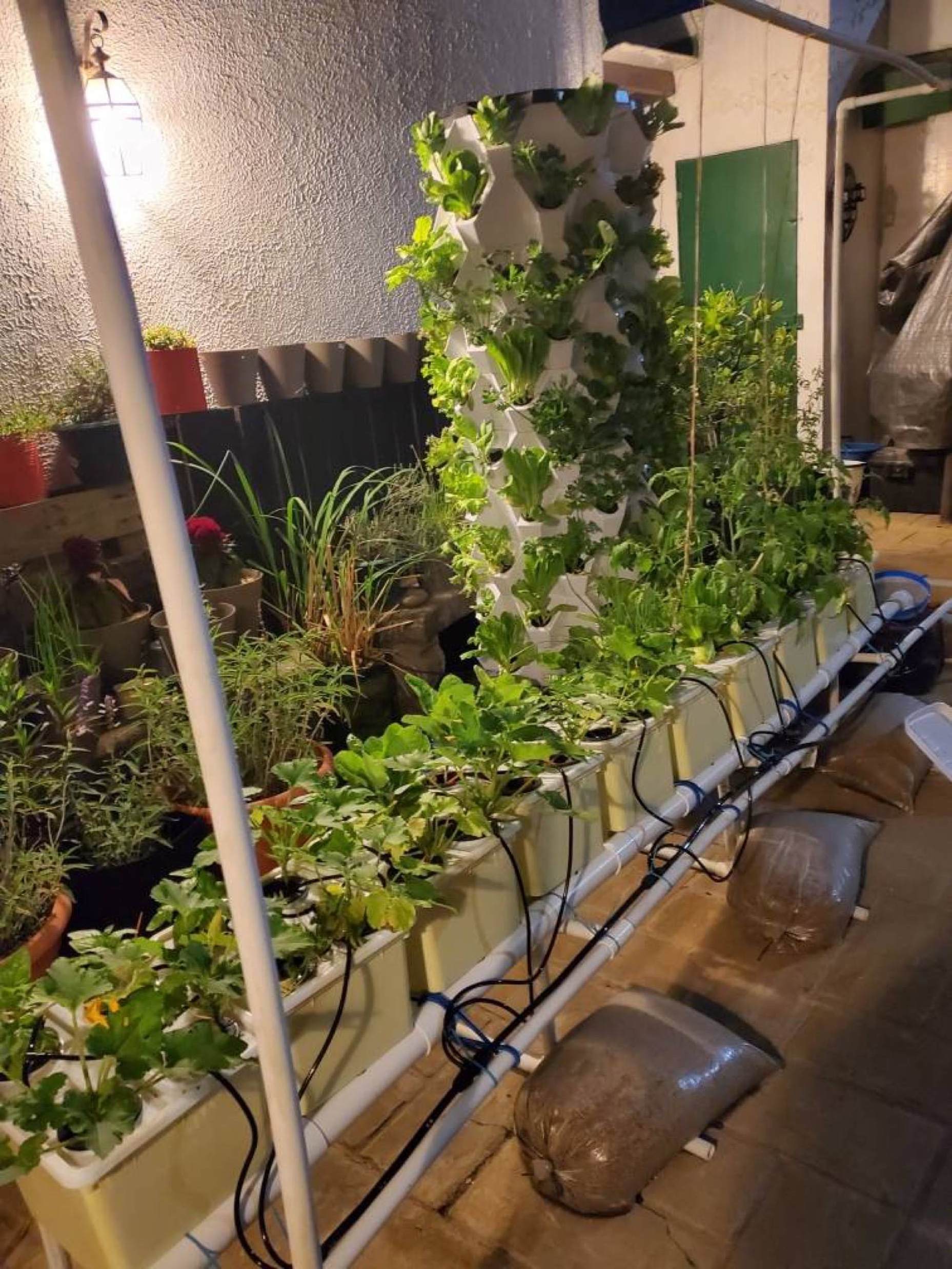 Hydroponic System Dutch Bucket and Vertical Aquaponics Growing System For Vegetables/Tomato