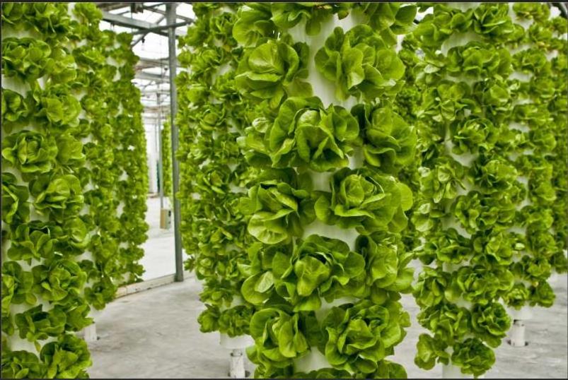 Hydroponic Greenhouse Indoor Aeroponic Growing Towers Hydroponics Vertical Garden Systems