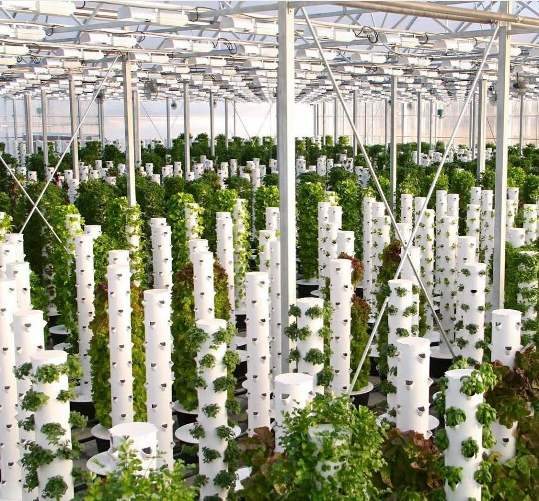 Hydroponic Greenhouse Indoor Aeroponic Growing Towers Hydroponics Vertical Garden Systems