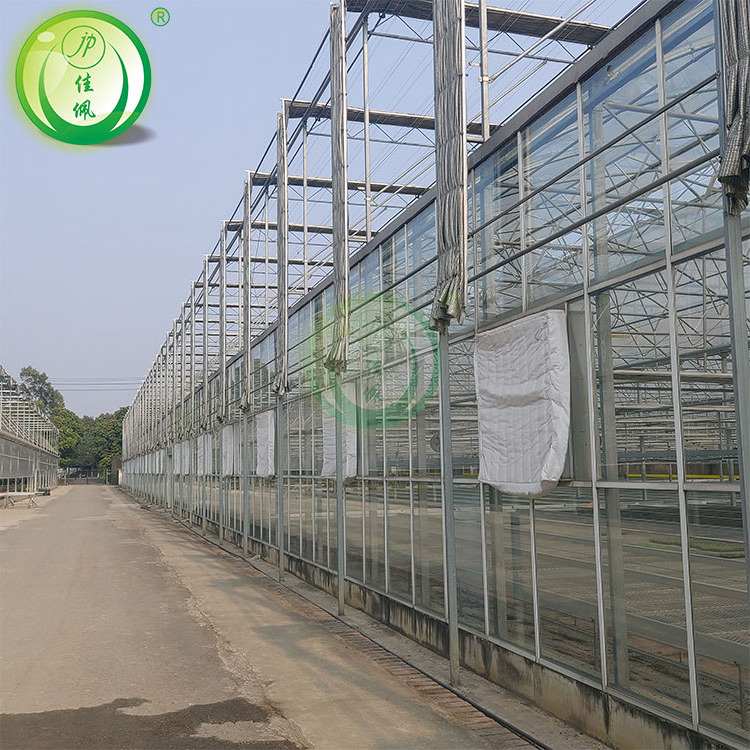 Hot Selling Hot-Dip Galvanized Structure Glass Venlo Agricultural Greenhouse For Vegetables/ flower Hydroponic Growing System