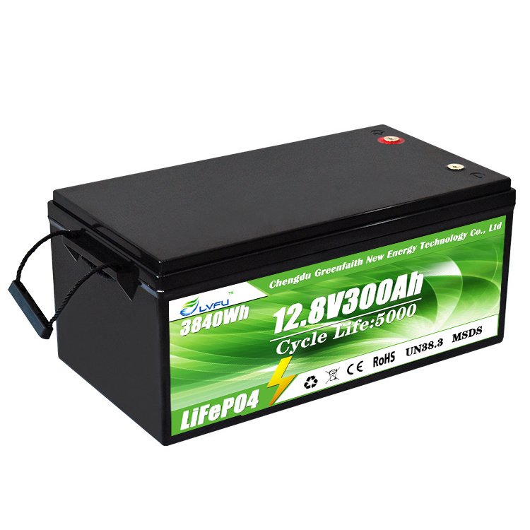 Deep Cycle Lithium Ion Batteries BMS 12v 200ah Solar Battery Pack 12V 100Ah 200Ah LiFePO4 Lithium Ion Battery