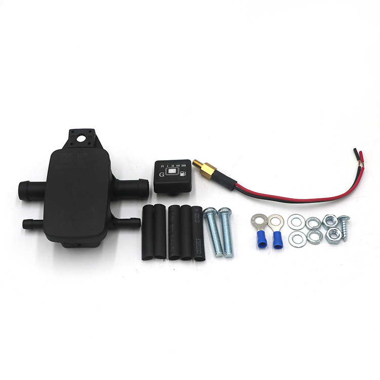 Auto Gas Conversion Kit 4 Cylinder Mp48 Lng Ecu For Auto Parts