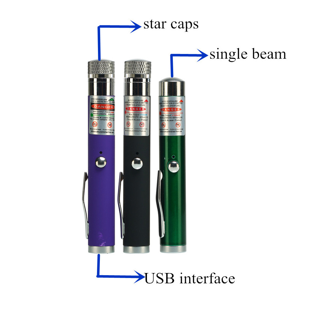 Rechargeable Built-in Battery USB Interface Portable Home Presenter Laser Pointer Laser with Clip