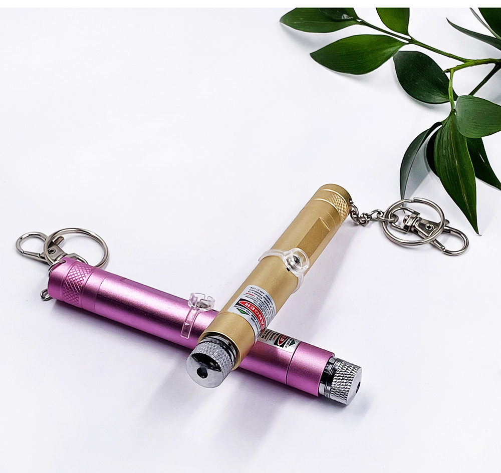 Mini Keychain Rechargeable USB Green Red Lazer Pointer