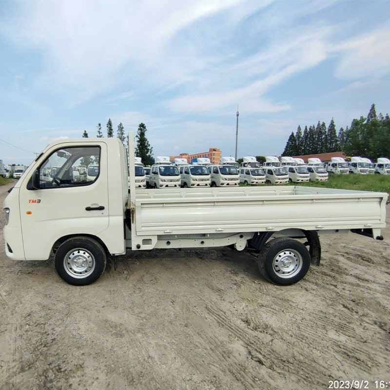 New Face LHD RHD 2 Tons Mini Cargo Fence Truck Foton For Sale