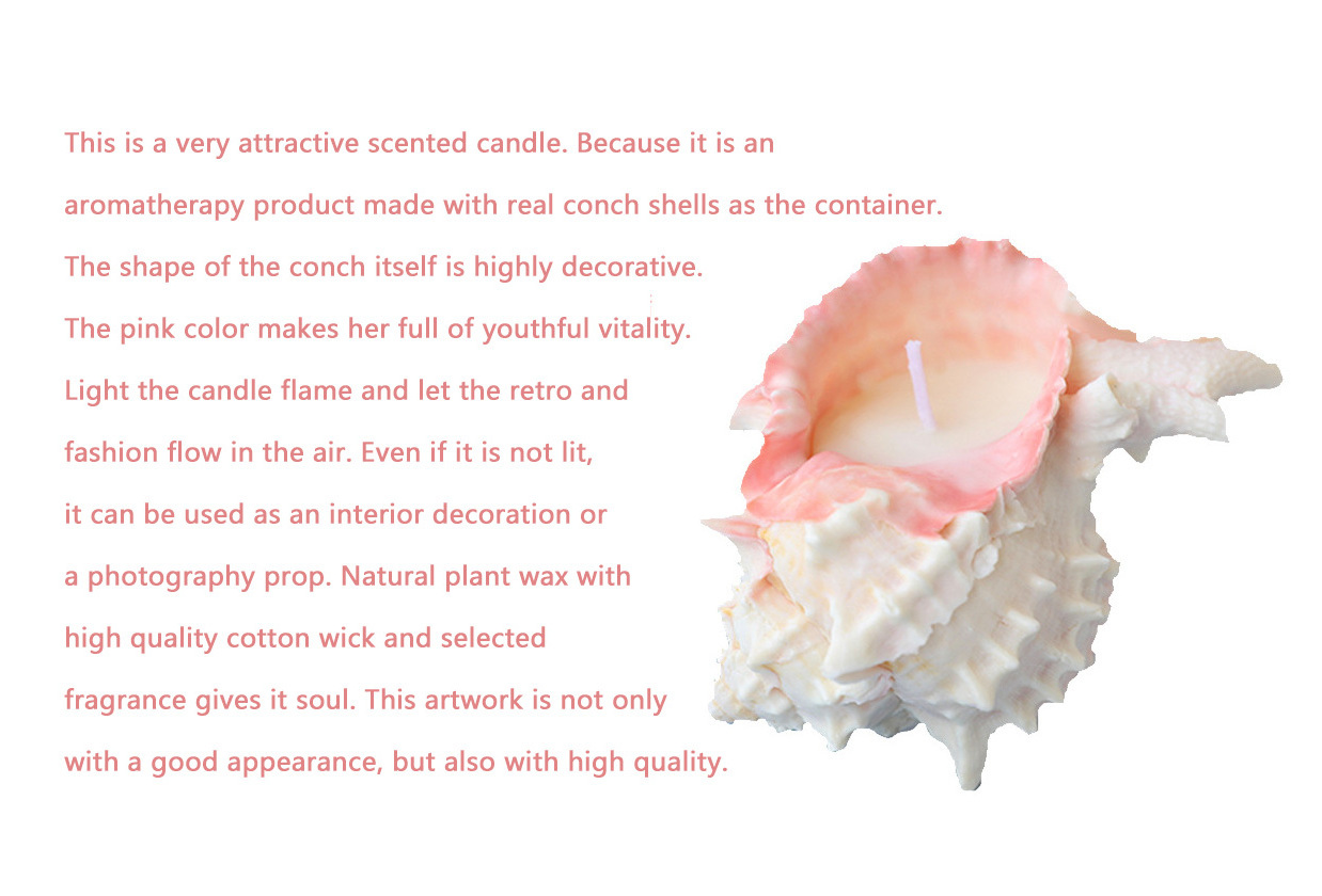 Custom Logo Natural Soy Wax Conch Handmade Bulk Candle Scented Art