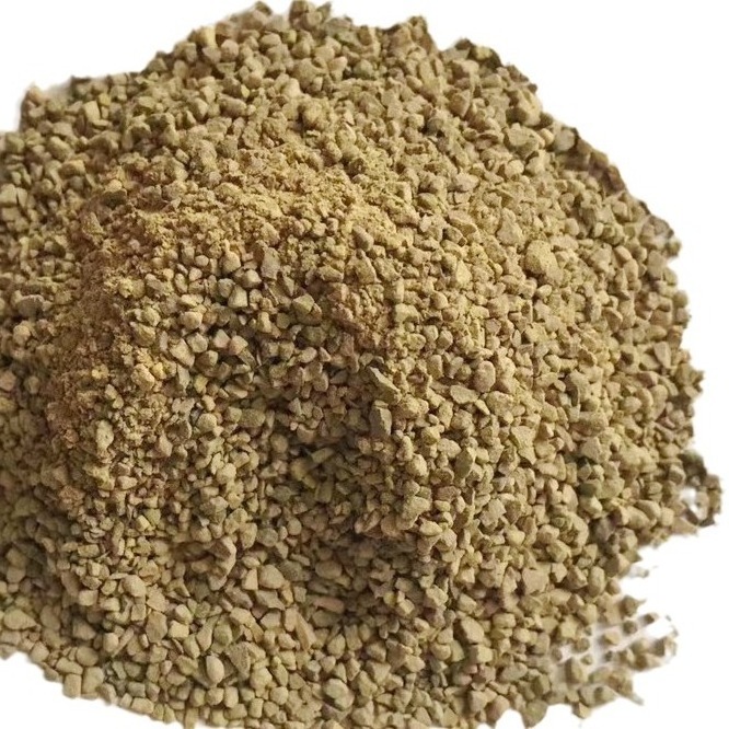 Natural sophora extract japonica flower bud extract fast supply natural Sophora Japonica Extract 98% quercetin powder