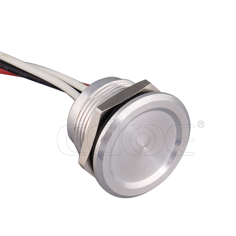 ring illumination Waterproof  ip68 1NO flat round momentary pushbutton 24V metal piezoelectric switch