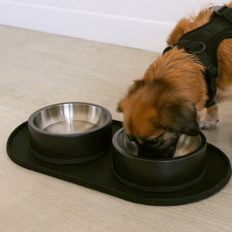 Wholesale nonslip large stainless steel dog bowl/pet bowl /cat bowl with double Stainless Steel feeder Pet food bowl Dish