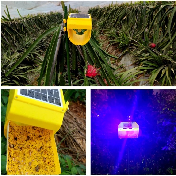 Pest Control Equipment Moth Traps Attracting Lamp Insects Killer Solar Light Sticky Electric Fruit Fli Trap Fly Insect Catcher