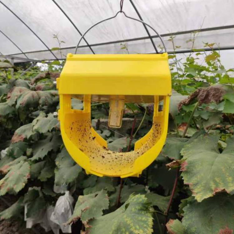 Agricultural Greenhouses Fruit Fly Insect Catcher Trap Pest Control Light Sticky Moth Traps Insects Killer Electric Solar Lamp