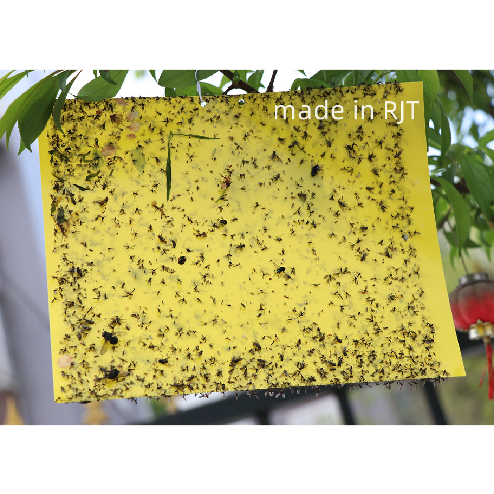 Yellow Gnat Insect Sticky Fruit Fly Glue Trap for Indoor and Outdoor Bug Farm Insect Wasp Trap Protect Plant with Non-Toxic