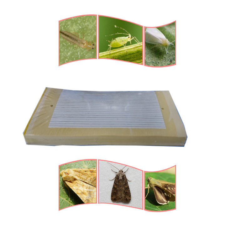 Disposable Pest Controle Product Outdoor Hanging 8*4 inch Yellow Glue Trap for Sticky Flying Plant Insect Wasp