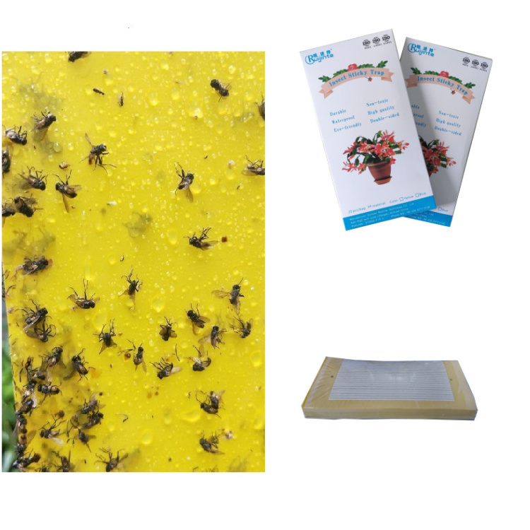 Disposable Pest Controle Product Outdoor Hanging 8*4 inch Yellow Glue Trap for Sticky Flying Plant Insect Wasp