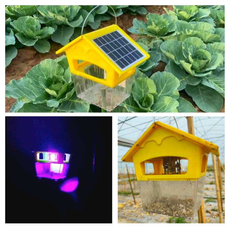 Automatic Light Insect Trap with 0.7 W LED Tube Pest Control Lamp 5 W Solar Panel 9 AH Rechargeable Lithium Battery