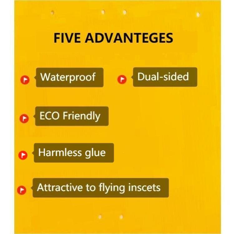 Fruit Fly Moth Traps Agricultural Greenhouses Pest Insects Killer Control Outdoor Yellow Sticky Trap Glue Board Insect Catcher