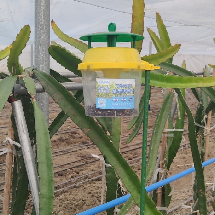 Waterproof Insect Trap with Pheromone Shape of Bucket to Control Pest in Agriculture/Horticulture/Greenhouse