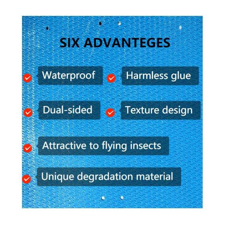 25 pcs/pack Degradable Insect Sticky Trap for Flying Pest Control In Greenhouse