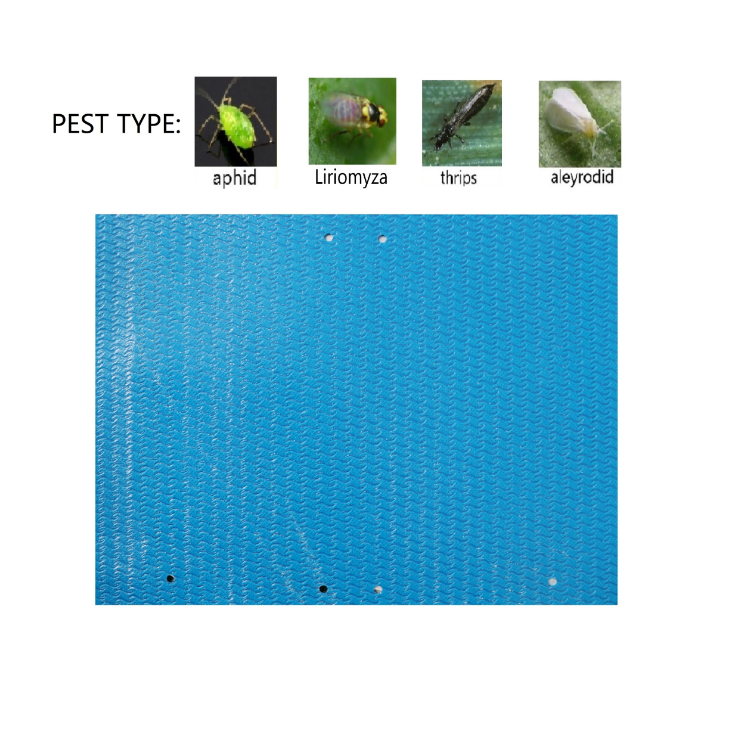 25 pcs/pack Degradable Insect Sticky Trap for Flying Pest Control In Greenhouse