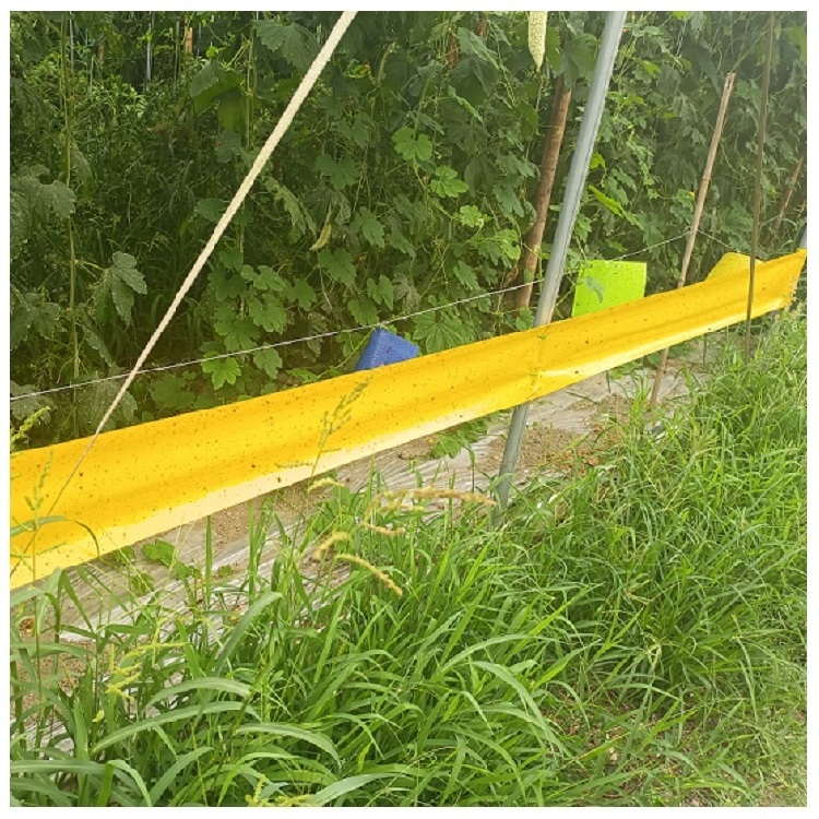 0.2*100m Yellow Sticky Roll Trap for Flying Plant Insect Catcher Agricultural Pest Control Equipment