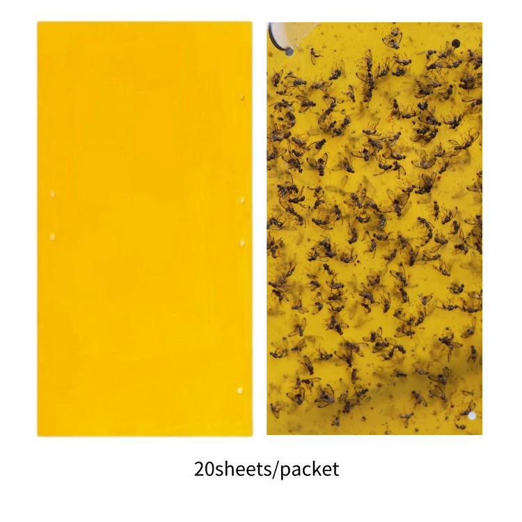 Pest Control Multifunction Yellow Sticky Traps with Pest Control Product Disposable Fruit Fly Trap Effective Fly Catchers