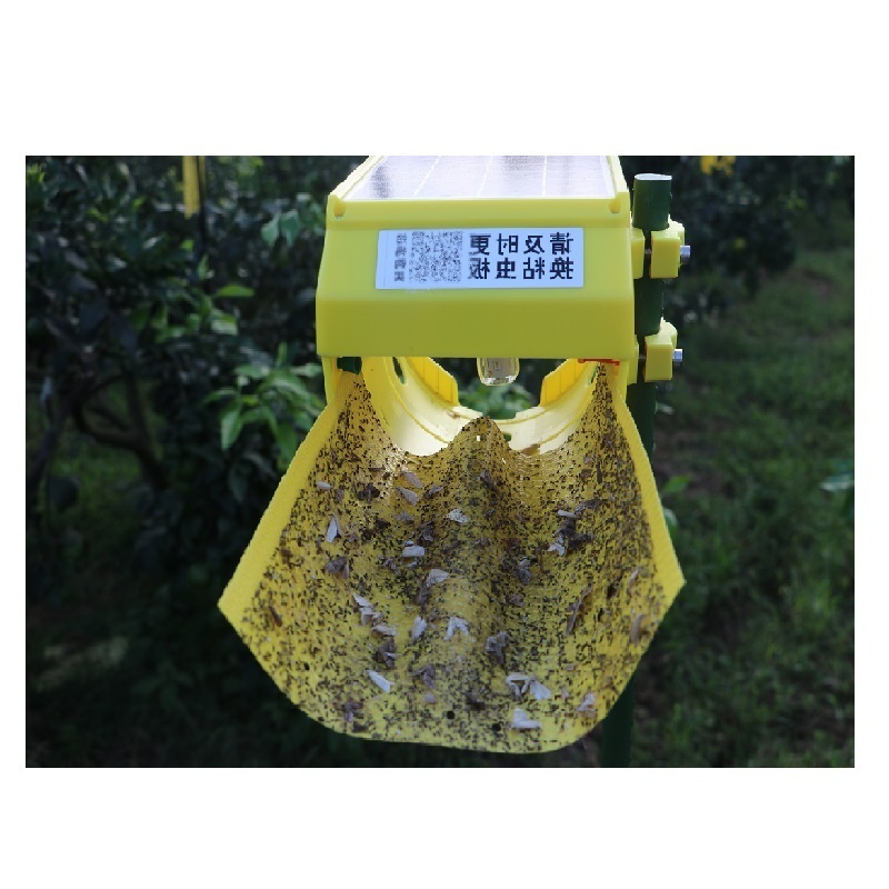 Hot Sale Solar Pest Killer Insect Lamp Awesome Pest Control Equipment Sustainable Bug Catcher in Agriculture Trapping