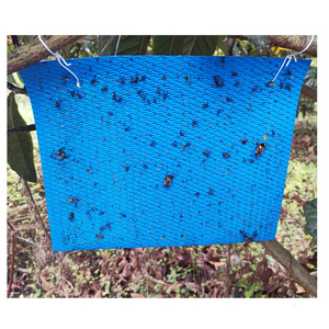 25 pcs/pack Degradable Insect Sticky Trap for Flying Pest Control In Greenhouse