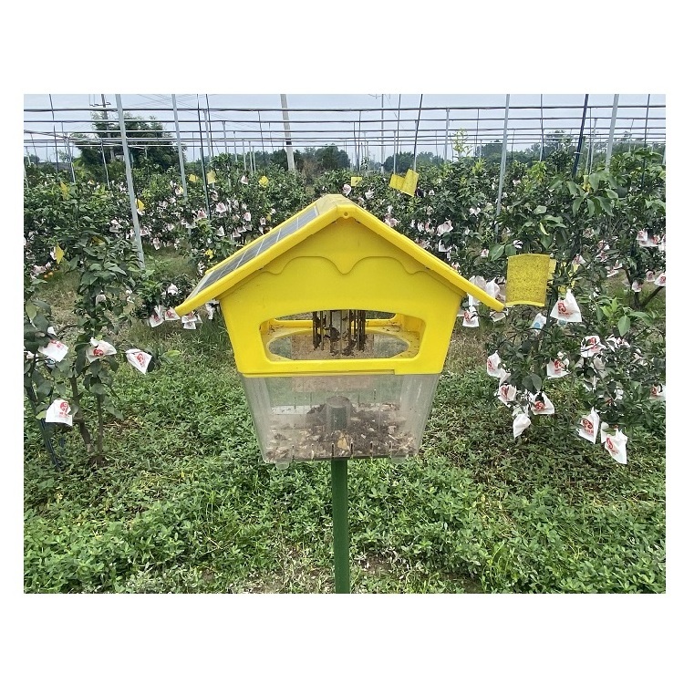 Wholesale MINI Solar trap with Agriculture Pest Control Effective UV fly trap Physical Control Farm Fly Trap Catch Flying Insect