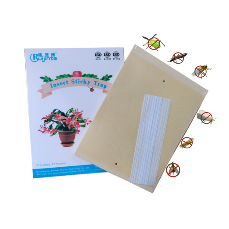 20 sheets/pack 8*6 inch Yellow Adhesive Paper Board Fruit Fly Glue Trap  for Sticky Wasp Fly Bug Insect