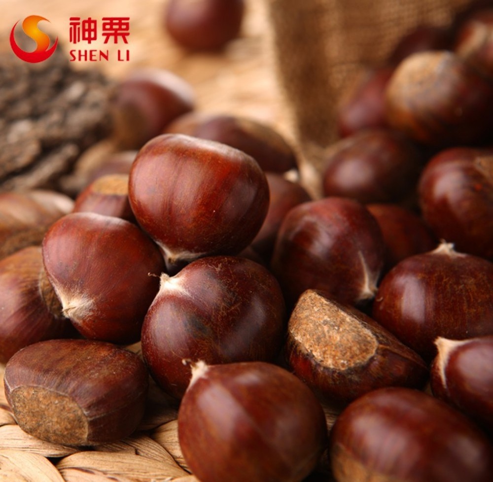 New Crop Fresh Chestnuts, Hebei Chestnut wholesale