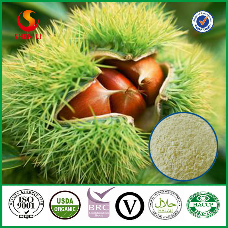 New Crop Fresh Chestnuts, Hebei Chestnut wholesale