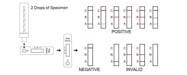 Adenovirus Diagnostic Kits Rotavirus Adenovirus Antigen Diagnostic Rapid Test Kit