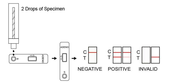 Manufacturer Supply Rapid Test for RSV Adeno Antigen Test with CE International Certification