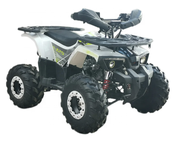 Little war god Popular Cheap Automatic 125cc ATV for kids off road vehicles Chinese Quad Bike Four Wheels Kids ATV