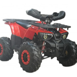 Little war god Popular Cheap Automatic 125cc ATV for kids off road vehicles Chinese Quad Bike Four Wheels Kids ATV