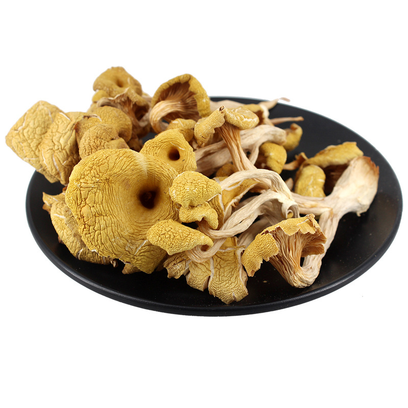 High Quality Wild Dried Chanterelle Mushrooms Low Prices Mushrooms Chanterelle wholesale