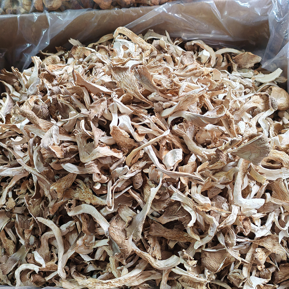 Wholesale Price High Quality Dried Oyster Mushroom Abalone mushroom dried morel mushrooms for sale