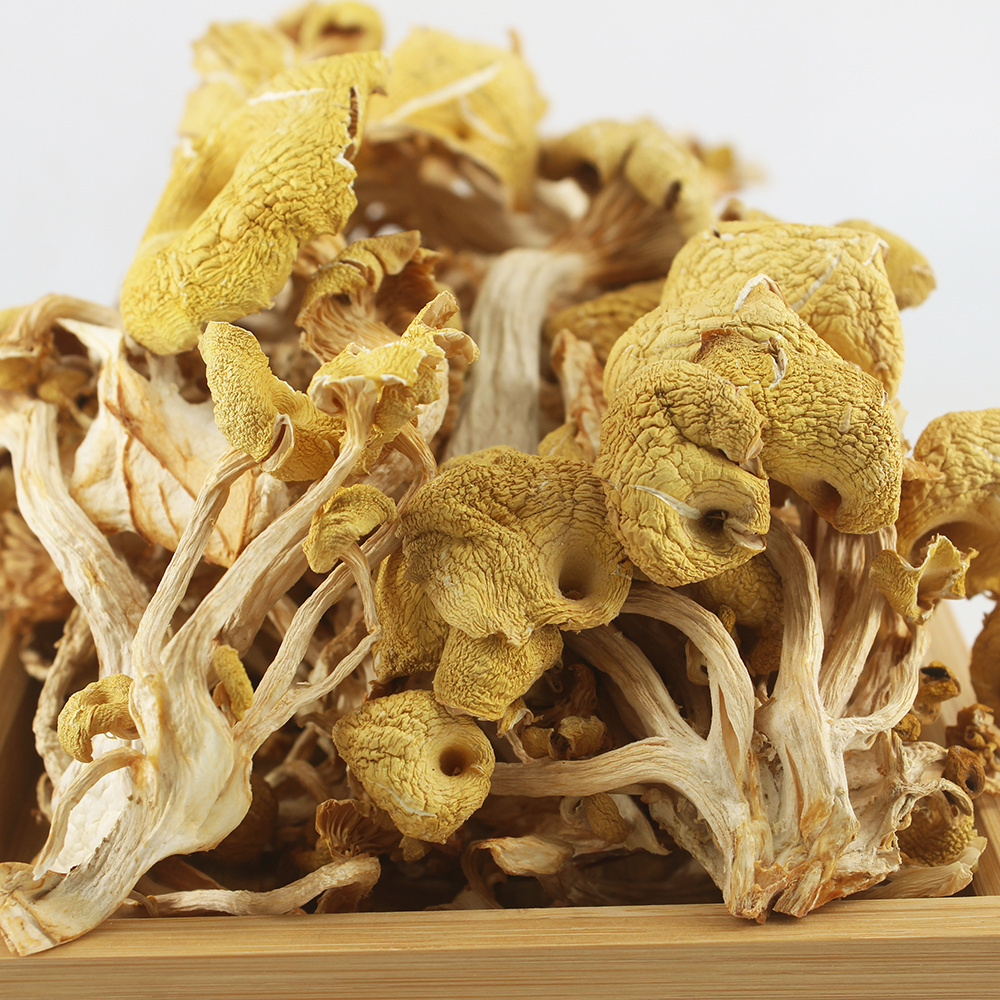 High Quality Wild Dried Chanterelle Mushrooms Low Prices Mushrooms Chanterelle wholesale